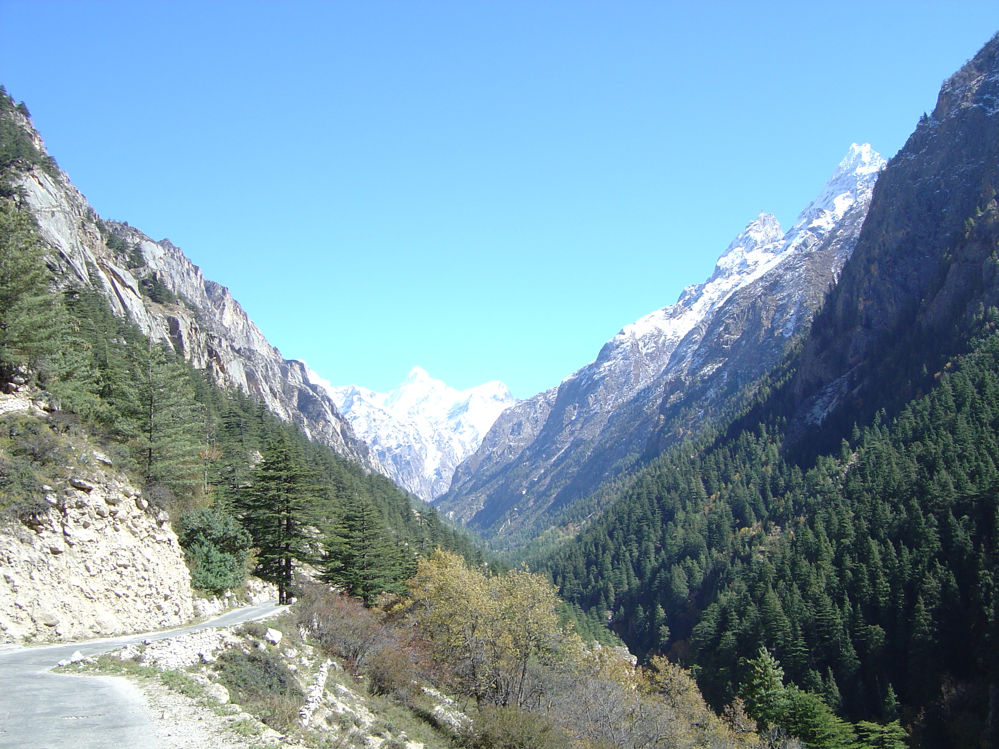 Temple panel bars non-Hindu entry at Gangotri