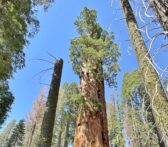 Why Washington says trade talks stalled