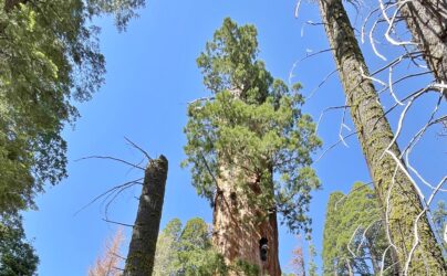 Why Washington says trade talks stalled