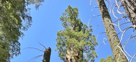 Why Washington says trade talks stalled