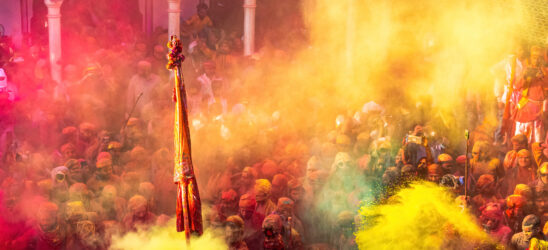 Holi video sparks outrage over alleged cow abuse