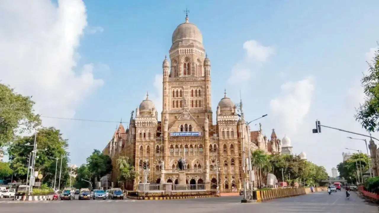 BJP moves to rein in municipal rebels